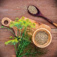 Gentle Relief: How Fennel May Help Soothe Thyroid Flare-Ups Naturally