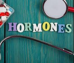 Finding Your Balance: Understanding Hormones and How Herbal Tea Can Help
