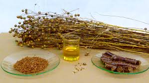 The Tiny Seed, Mighty Benefits: How Omega-3s from Linseed Power Your Health & Immunity