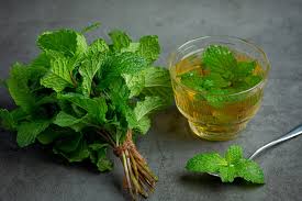 A soothing cup of HLO Immunity Boost Tea with steam gently rising.