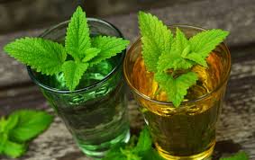 A soothing cup of HLO Organic Thyroid Wellness Tea with visible Lemon Balm leaves