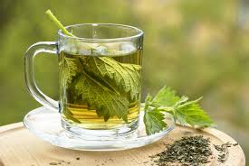 A comforting cup of HLO Organic Thyroid Wellness Tea with visible Nettle Leaf.