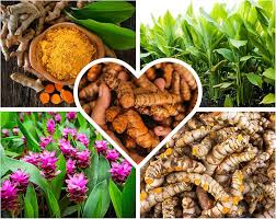 Golden Support: How Turmeric's Anti-Inflammatory Power Can Benefit Your Thyroid Health